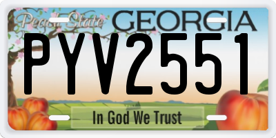 GA license plate PYV2551