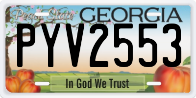 GA license plate PYV2553