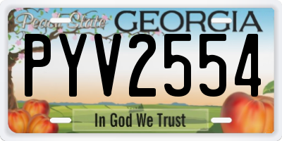 GA license plate PYV2554