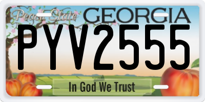 GA license plate PYV2555