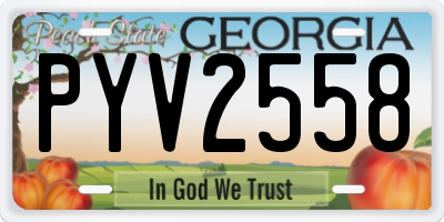 GA license plate PYV2558