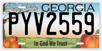 GA license plate PYV2559