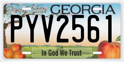 GA license plate PYV2561