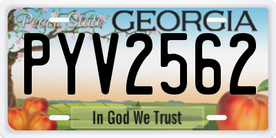 GA license plate PYV2562