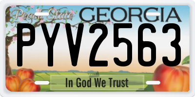 GA license plate PYV2563
