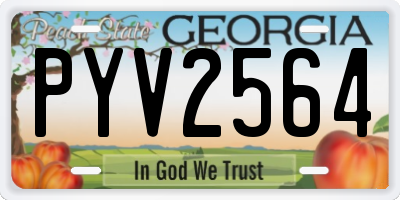 GA license plate PYV2564