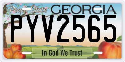 GA license plate PYV2565