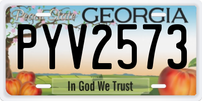 GA license plate PYV2573