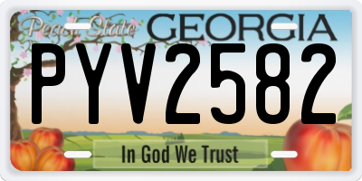 GA license plate PYV2582