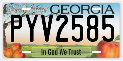 GA license plate PYV2585