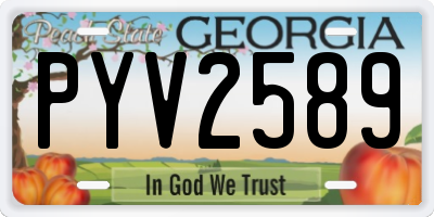 GA license plate PYV2589