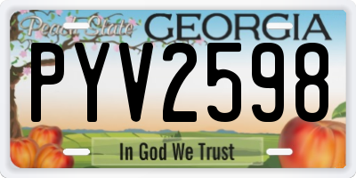 GA license plate PYV2598