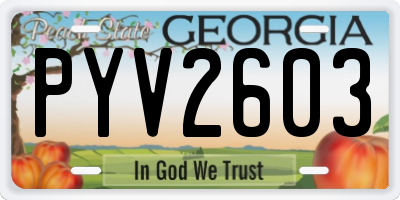 GA license plate PYV2603