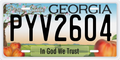 GA license plate PYV2604