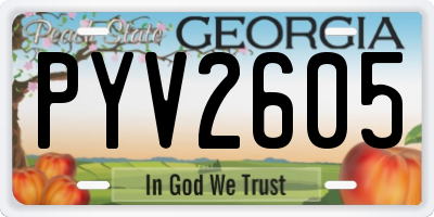 GA license plate PYV2605