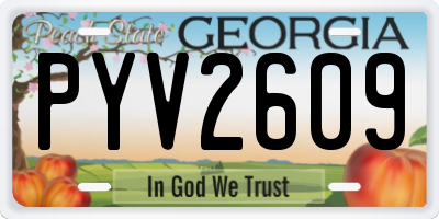GA license plate PYV2609