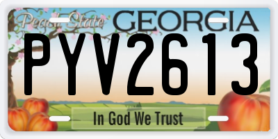 GA license plate PYV2613