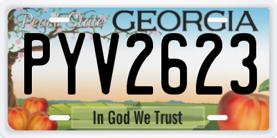 GA license plate PYV2623