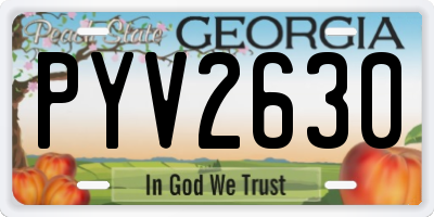 GA license plate PYV2630