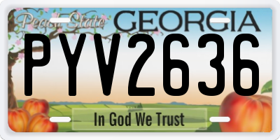 GA license plate PYV2636