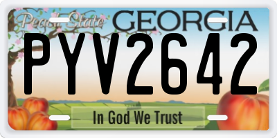 GA license plate PYV2642