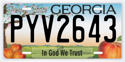 GA license plate PYV2643
