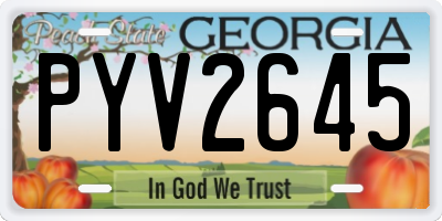 GA license plate PYV2645