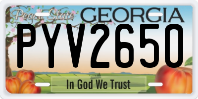 GA license plate PYV2650