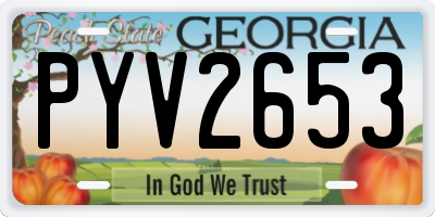 GA license plate PYV2653