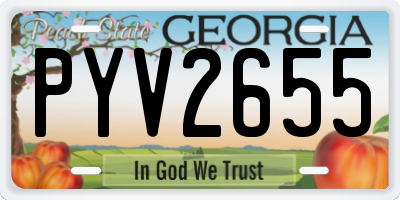 GA license plate PYV2655