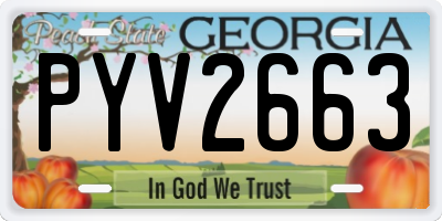 GA license plate PYV2663
