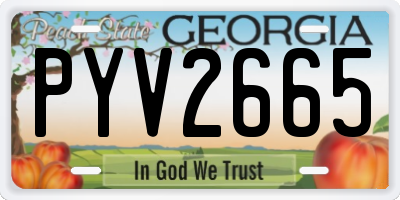 GA license plate PYV2665