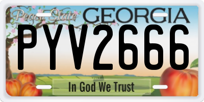GA license plate PYV2666