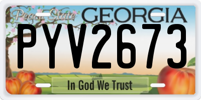 GA license plate PYV2673