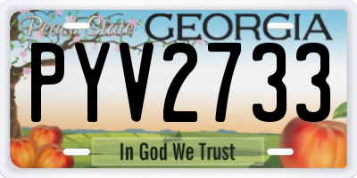 GA license plate PYV2733