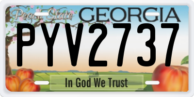 GA license plate PYV2737