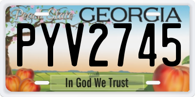 GA license plate PYV2745
