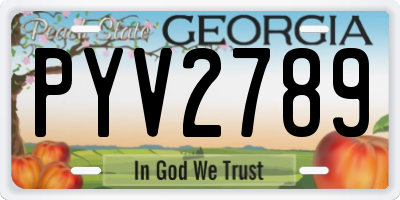 GA license plate PYV2789