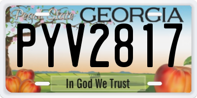 GA license plate PYV2817
