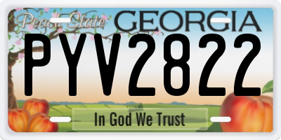 GA license plate PYV2822