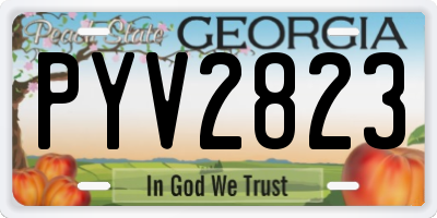 GA license plate PYV2823