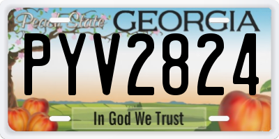 GA license plate PYV2824