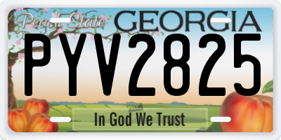 GA license plate PYV2825