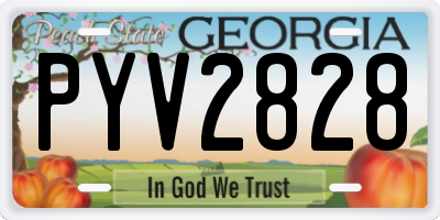 GA license plate PYV2828