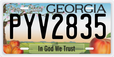 GA license plate PYV2835