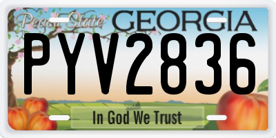 GA license plate PYV2836