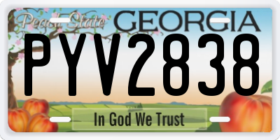 GA license plate PYV2838