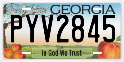 GA license plate PYV2845