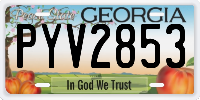 GA license plate PYV2853