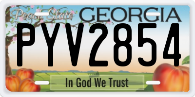 GA license plate PYV2854